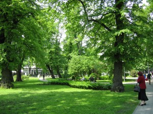 ParkSummer2